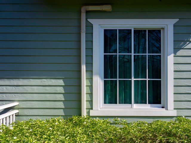 Window