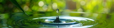 Ripple Water